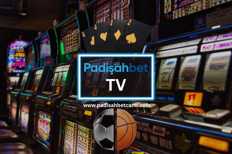 padişahbet tv keyfi